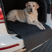 Ford Kuga 2020+ Moulded Rubber Boot Mat